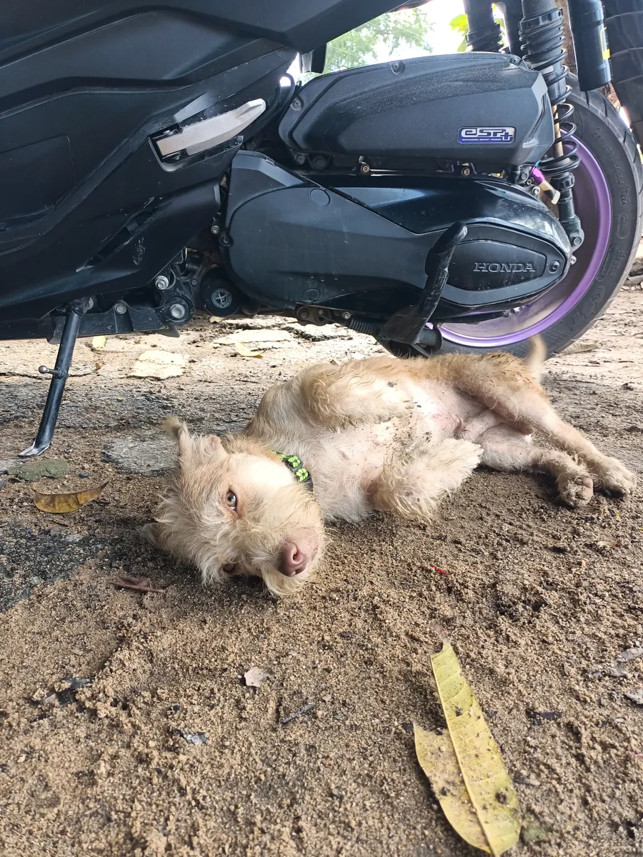 โตเกียว